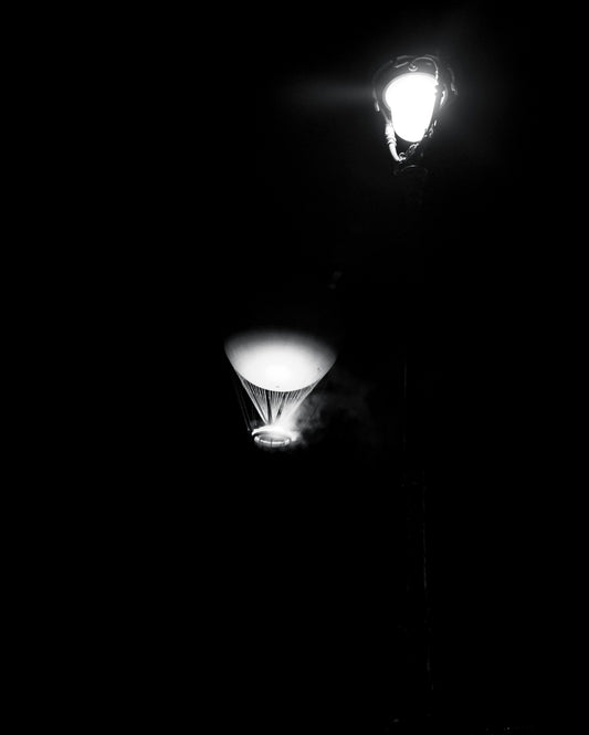 L'ELOQUENCE DU NOIR ET BLANC