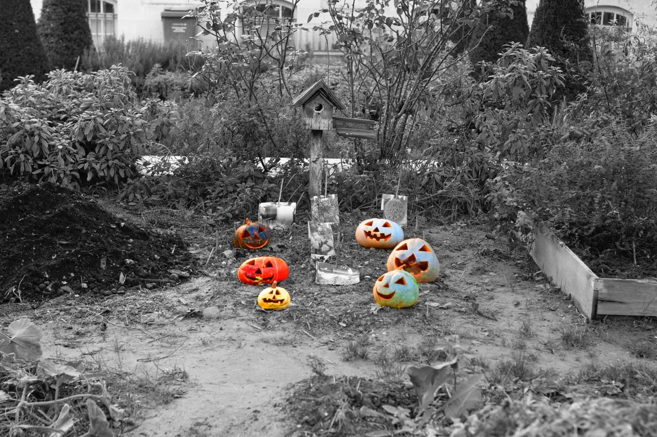 LES AMES CITROUILLES