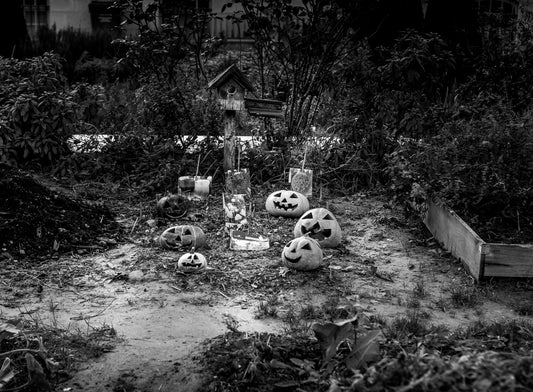 LE TEMPS EN NOIR ET BLANC