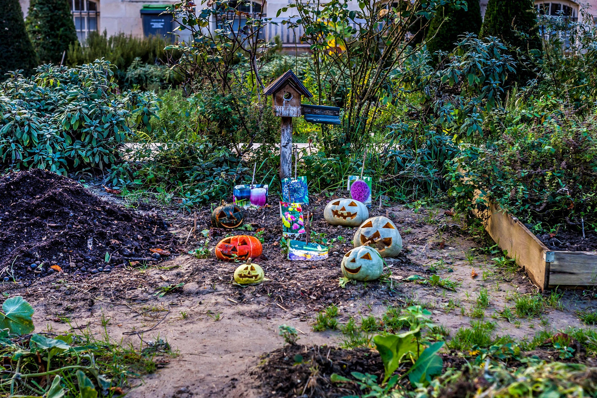 LE CHARME DE PARIS,CAPTURE A JAMAIS