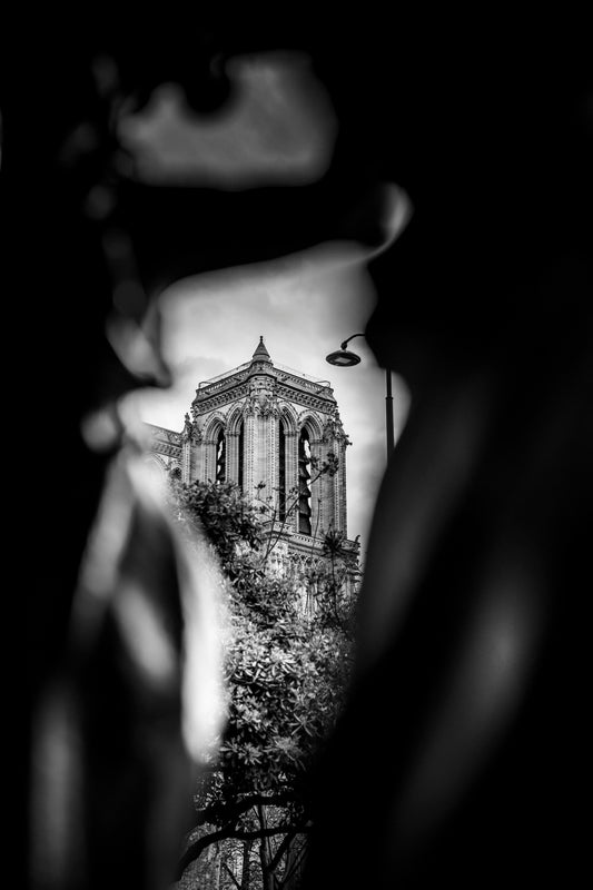 Tirage d'Art sur papier photo satiné, mat ou brillant